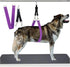 Pet Dog Grooming Belly Straps, Dog Grooming Table Arm Accessories, Waterproof PVC Wide Dog Grooming Belly Band, Purple