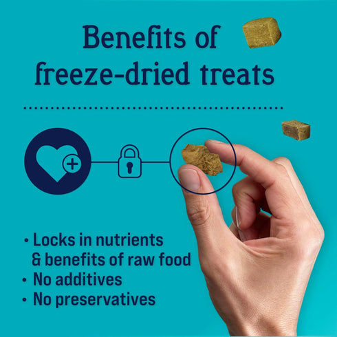 Stewart Freeze Dried Dog Treats, Chicken Liver, 16 oz, Grain Free & Gluten Free, Resealable Pouch