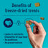 Stewart Freeze Dried Dog Treats, Chicken Liver, 16 oz, Grain Free & Gluten Free, Resealable Pouch