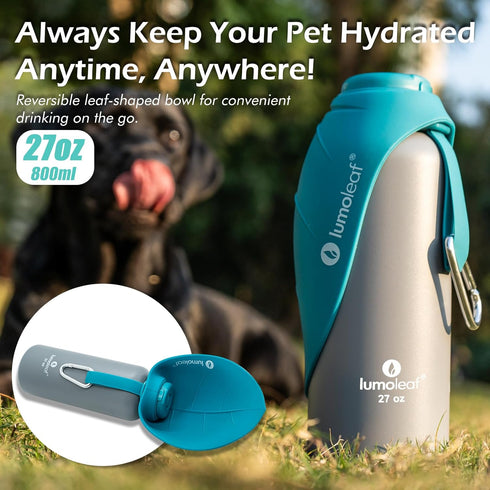 27 oz LumoLeaf Insulated Dog Water Bottle Stainless Steel - Keep Water Cool or Warm, Portable Pet Water Bowl