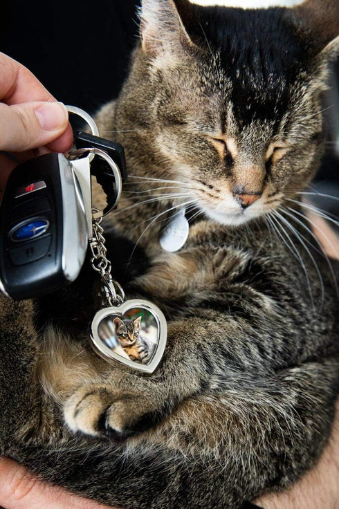 Pearhead Photo Keychain Pet Locket, Dog or Cat Photo Frame Keychain with Paw Print Charm