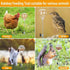 Kalekey (2) Chicken Feeding Toy, Chicken Enrichment Toys with Spring and Metal Ground Stake, Chick Treat Dispenser Peck