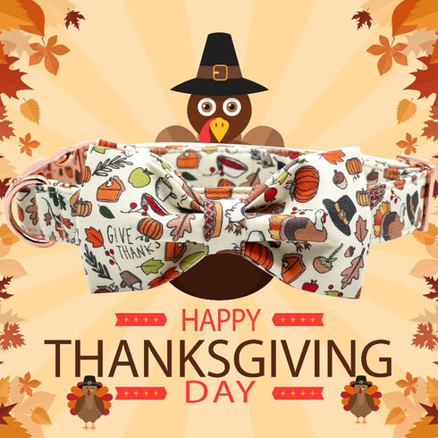 Elegant little tail Dog Collar with Bow, Thanksgiving Turkey Bow for Large Dogs