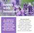 Calming Lavender Scented Hive Dog Fetch Stick for Large Breeds, Durable Toy, Floats in Water, Treat Dispenser