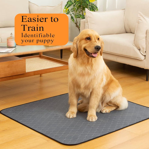 48x60, 2 Pack, Bunlitent Washable Pee Pads for Dogs Extra Large Reusable Puppy Pads, Dog Training Pads with Quick Dry