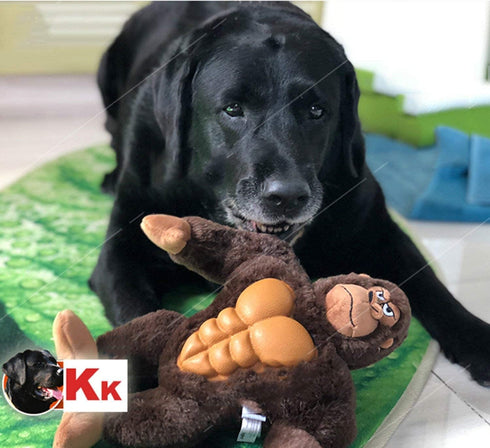 IOEN Patent Gum Massage Interactive Dog Chew Toys - Durable Plush Squeaky Toy for Medium/Large Dogs, 12 Inches