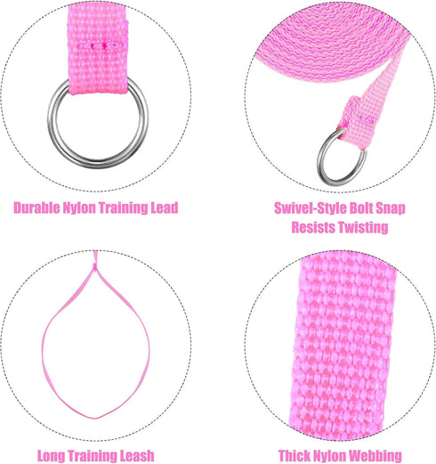18 Pieces Dog Leash Slip Leads with O-Ring, 6 Feet for Small Medium Large Dogs – Grooming Shelter Rescues Walking