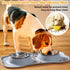 Hubulk Pet Dog Bowls 2 Stainless Steel with Non-Skid Silicone Mat + Pet Food Scoop for Small Medium Large Dogs Cats