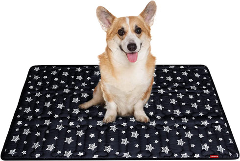 Dog Crate Mat (36" x 23") - Soft Bed Mat with Cute Prints, Personalized Anti-Slip Kennel Pad, Machine Washable