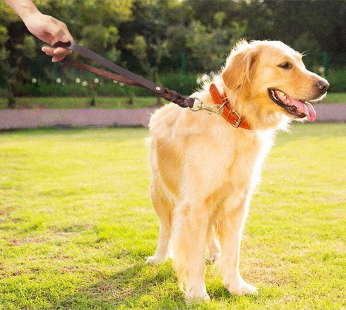 FAIRWIN Leather Short Dog Leash - 16" Short Traffic Lead for Large Dogs Training and Walking (3/4" x 16", Brown)