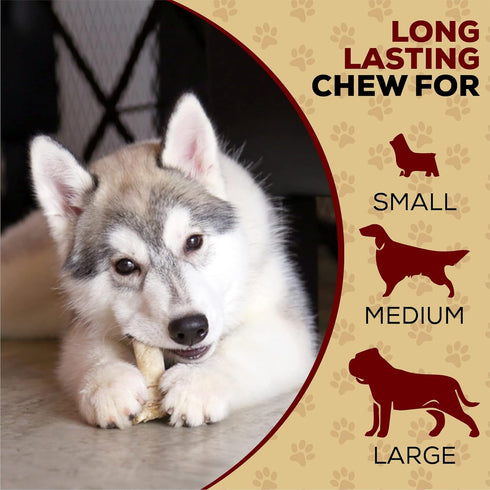 9-10 Inch 4 Count Real Hide | All Natural Dog Chew Treats - Premium Rawhide Rolls, - Long Lasting Grass Fed Free Range
