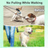Prong Training Collar for Dogs, Adjustable Pinch Collar with Quick Release Buckle, No Pull Collar for All Breeds