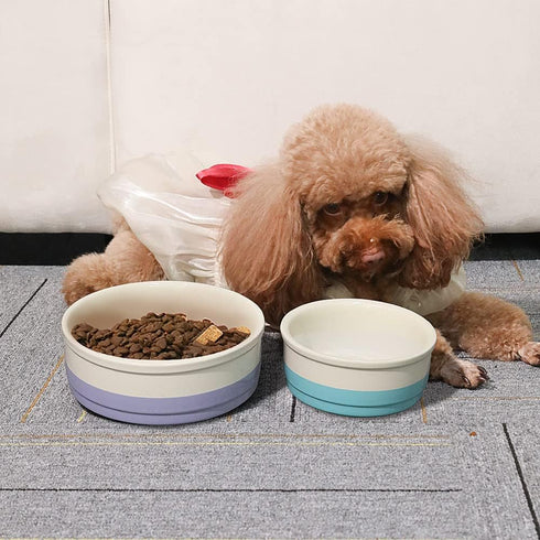 Sweejar Purple Ceramic Dog Bowls, Heavy Duty Porcelain Pet Dish for Small Dogs and Cats, 17 Fl Oz