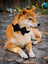 Dog Collar with Bowtie - Soft Velvet Material with Quick Release Buckle for Medium Dogs, Black, M