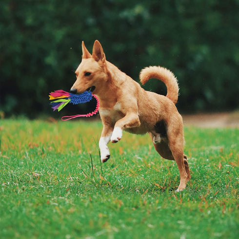 Dog Tug Toy, Large Dog Chew Toy with Strong Squeak, Ideal for Training, Handmade, for Aggressive Chewers