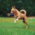 Dog Tug Toy, Large Dog Chew Toy with Strong Squeak, Ideal for Training, Handmade, for Aggressive Chewers