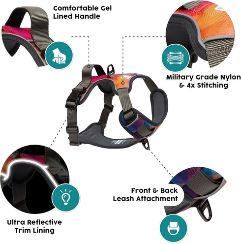 Embark Urban Dog Harness - No-Pull Reflective Trim for Small, Medium & Large Dogs, Heavy Duty Oxford, 2 Leash Clips &