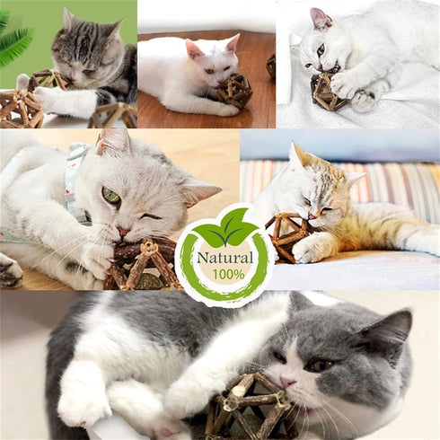 Catnip Toys - 2Pcs Natural Silvervine Stick and Catnip Ball & Bell Ball, Indoor Cat Chew Toy for All Breeds