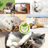 Catnip Toys - 2Pcs Natural Silvervine Stick and Catnip Ball & Bell Ball, Indoor Cat Chew Toy for All Breeds