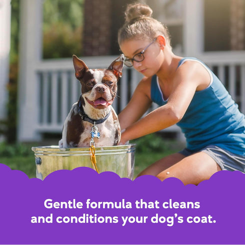 2 1 16 oz. Buddy Grooming Wash in Dog Shampoo, Lavender & Mint, Bottle