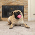 K9 4 Pack Hyper Pet MINI Tennis Balls for Dogs (Safe Dog Ball Tennis Balls for Exercise & Training) Interactive Toys