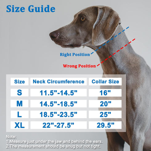 Mayerzon Martingale Collar for Dogs, No Pull Walking Collar for Small Medium Large Dogs, Anti Pull Training Collars
