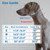 Mayerzon No Pull Dog Collar, Martingale Collar for Small Medium Large Dogs, Heavy Duty Nylon for Training