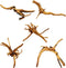 Hamiledyi 5PCS Driftwood for Aquarium, 7-9inch Natural Reptile Spider Wood, Assorted Branches Fish Tank Decor
