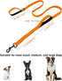 6FT Orange Strong Dog Leash with 2 Padded Handles, Traffic Handle for Extra Control, Reflective Walking Lead for Dogs