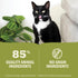 ACANA PREMIUM PATE Wet Cat Food - Lamb & Lamb Liver Recipe in Beef Bone Broth, 5.5oz (Case of 12)