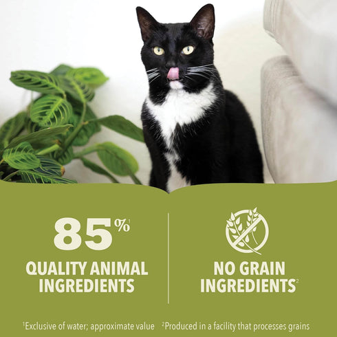 5.5oz (12 count) ACANA Premium Pate Wet Cat Food in Bone Broth Beef Chicken + Tuna Recipe Cans