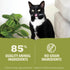 5.5oz (12 count) ACANA Premium Pate Wet Cat Food in Bone Broth Tuna + Chicken Recipe Cans