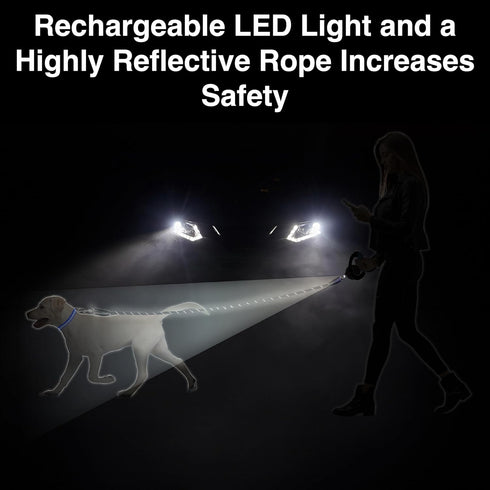 WIGZI Luna Dog Leash with Rechargeable LED Light, Detachable Light, 6 Ft Length for Dogs up to 200lb, Black
