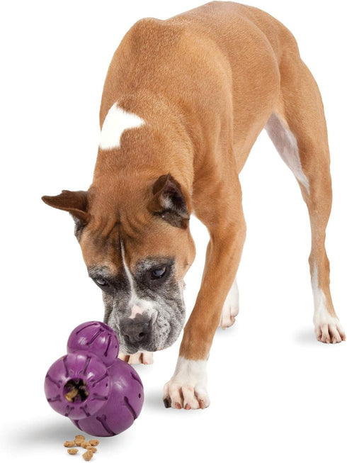 PetSafe Busy Buddy Barnacle - Treat Dispensing Dog Chew Toy