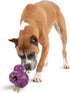 PetSafe Busy Buddy Barnacle - Treat Dispensing Dog Chew Toy