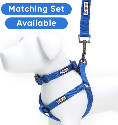 Pawtitas Adjustable Dog Collar, Heavy Duty Waterproof with Quick-Release Buckle, Blue for Small Breed