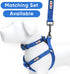 Pawtitas Adjustable Dog Collar, Heavy Duty Waterproof with Quick-Release Buckle, Blue for Small Breed
