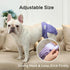 Dogs,4 Pack JoyDaog Female Dog Diapers for Small Reusable Washable Premium Puppy Diapers for Heat,Incontinence,Period