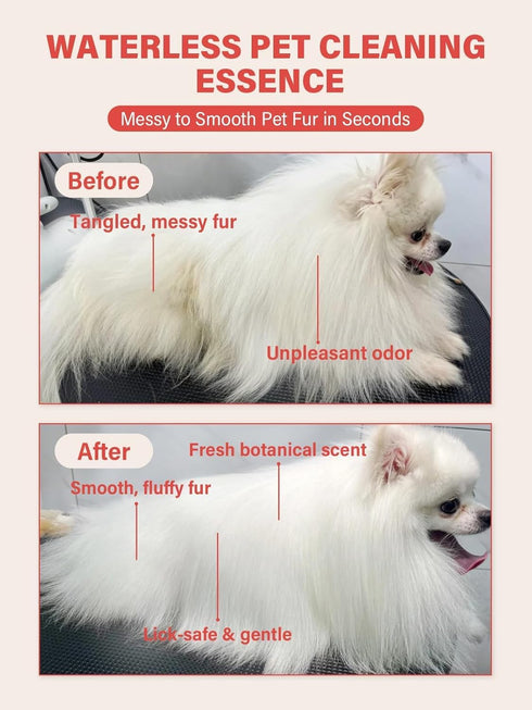 8x12ml(0.4fl.oz) 4 Concentrated Waterless Dog Shampoo & Cat Dry Shampoo, No Rinse Pet Grooming Serum, Plant-Based