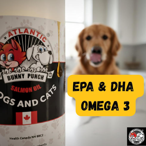 BUNNY PUNCH SINCE 1990 32 oz Bunny Punch Pure Atlantic Salmon Oil for Dogs & Cats - Liquid Food Topper