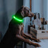 Illumifun Light Up Dog Collar - USB Rechargeable LED Glow in The Dark, Adjustable Pet Safety Lights, Green
