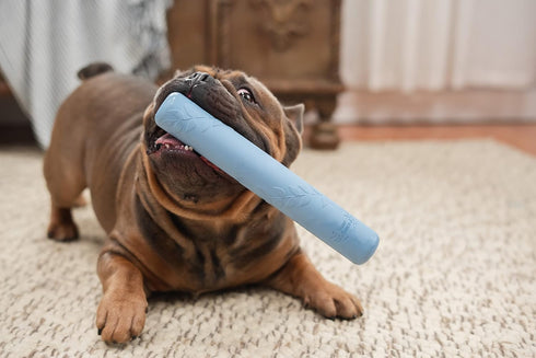 Harry Barker Rubber Balls and Rubber Chew Stick, Rubber Bone for Dogs