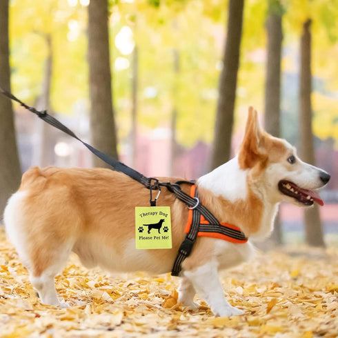 Therapy Dog Hang Tag, Alert Hanging Patches for Therapy Dog, Dog Alert Patches