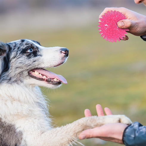 16 Pack Squeaky Dog Balls - 2.5'' Spiky TPR Rubber Balls for Teething, Interactive Fetch Toys for Small and Medium Dogs