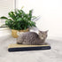 AMZNOVA Cat Scratcher - Durable Cardboard Cat Scratching Pad with Catnip, Narrow, Textured Black (Upgraded)