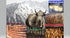 Snow Hill Natural Himalayan Dog Chews - 14-15 pcs Small Chews, Gluten Free, Protein-Rich Treats for Oral Health