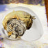 Generic Large Hermit Crab Shells | Hermit Crab Habitat - Glass Large Clear Reptiles Crustaceans Conch Habitat Ornaments