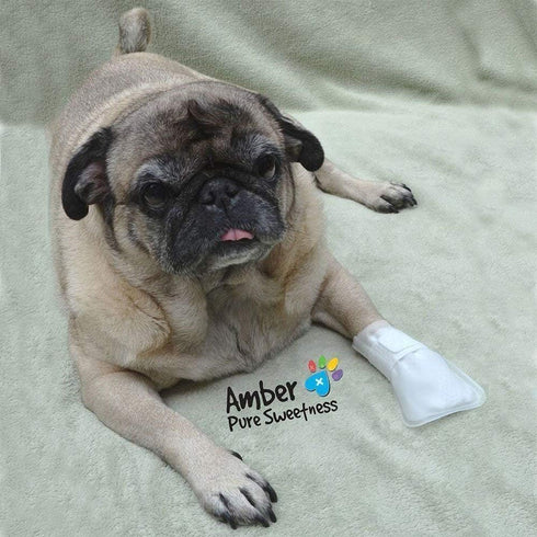Outdoor Water Proof Cover for MediMitts, Fastens with Medimitt Strap, Useful for Hot Spots, Allergies, 20 Pack (Small)