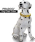 Gold Chain Dog Collar Designer Cuban Link Chain, 19MM Metal Stainless Steel, Safety Design Buckle, Walking Collar