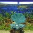 LUOZZY 2Pcs Fish Tank Bubbler Decorations, Pearl Scallop Ornaments, Underwater Aquarium Resin Craft Decors